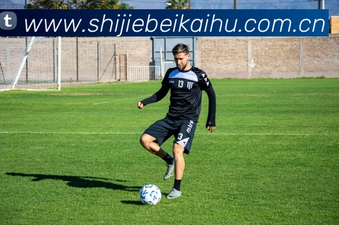 世界杯开户平台生态图